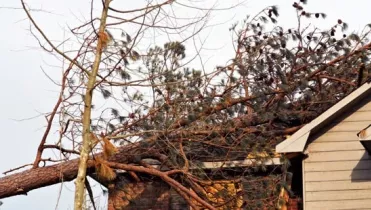 What to do After Storm Damage to your Home