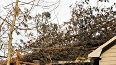 What to do After Storm Damage to Your Home 