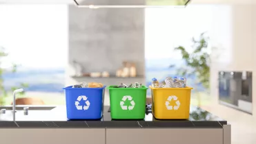 Sustainable Living Home Recycling